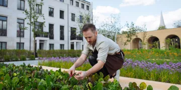 Ollie Dabbous Mulberry Square