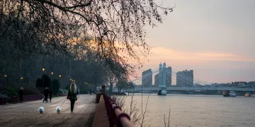 Albert Bridge